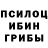 Псилоцибиновые грибы Magic Shrooms 101Checks