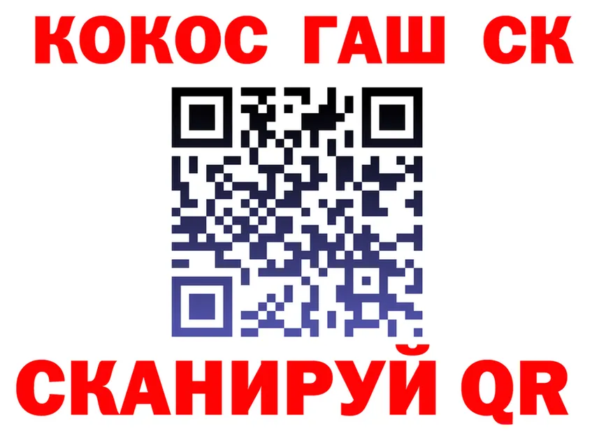 A PVP СК КРИС маркетплейс площадка МЕГА Петропавловск-Камчатский