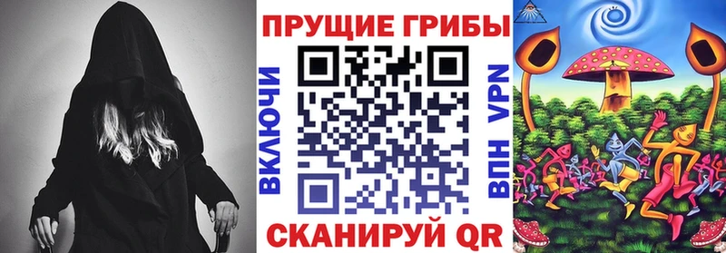 darknet Telegram  купить закладку  Петропавловск-Камчатский  Псилоцибиновые грибы Psilocybe 